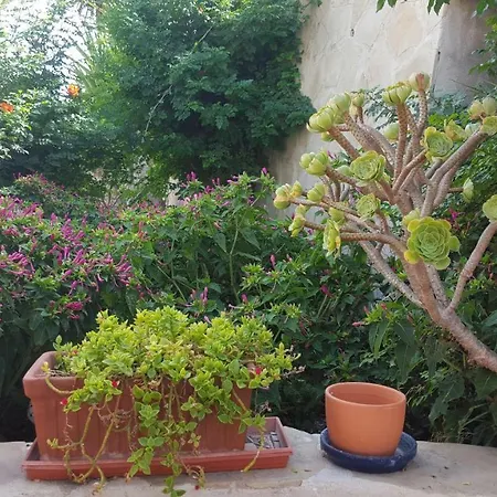Estudio En Teulada