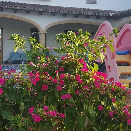 Estudio En * Teulada