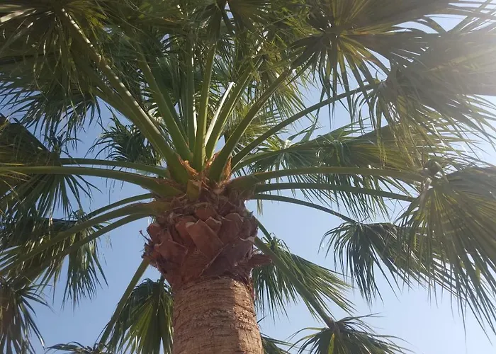 Appartement Estudio En Teulada