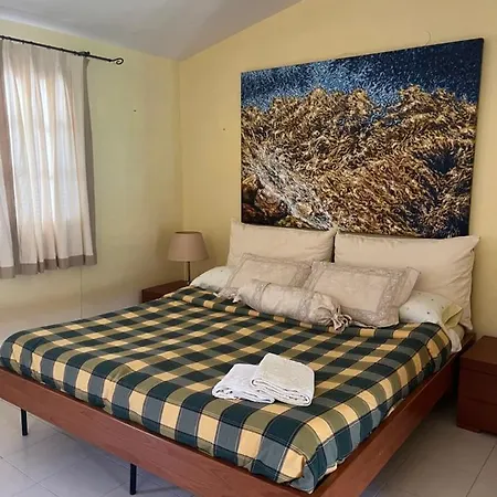 Estudio En Apartment