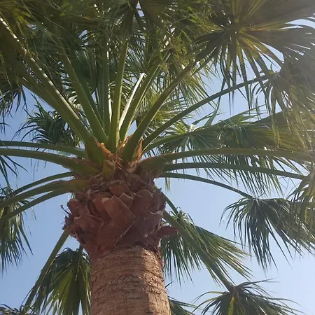 Apartment Estudio En Teulada