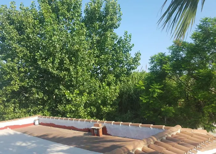 Estudio En * 特乌拉达