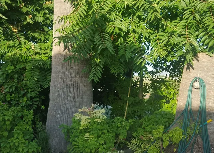 公寓 Estudio En 特乌拉达